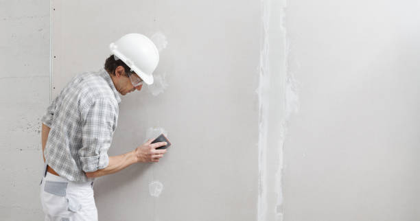 Forensic Mold Investigation in Rustburg, VA