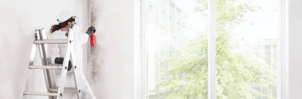 Best Mold Removal for HVAC Installations  in Rustburg, VA
